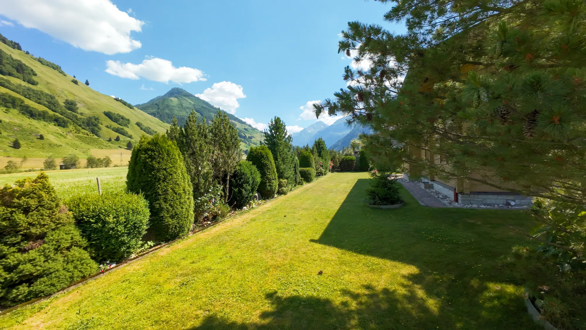 dji_fly_20260626_161400_0482_1782487541605_photo